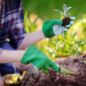 Gardening as an Anti-depressant