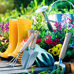 Getting Your Garden Ready for Spring (Spring Rejuvenation Made Easy)
